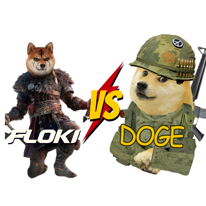 Floki V Doge Logo